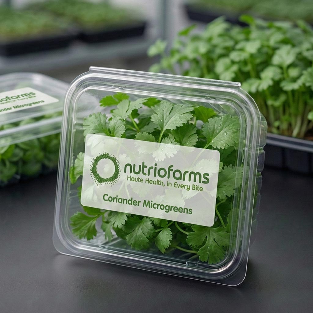 Coriander Microgreens