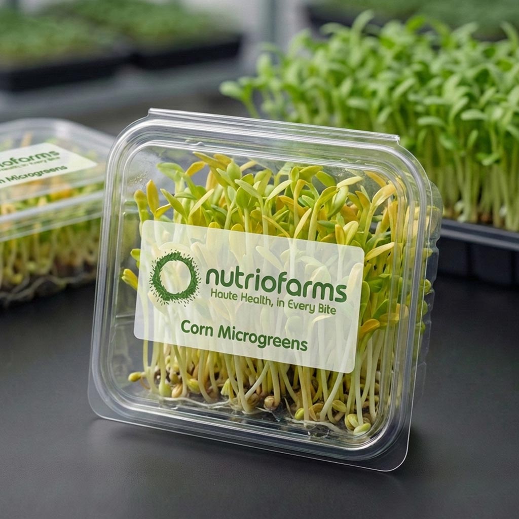 Corn Microgreens