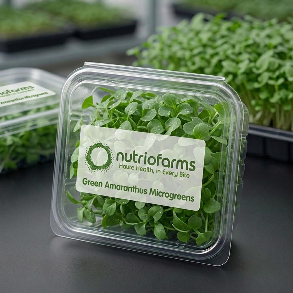 Green Amaranthus Microgreens