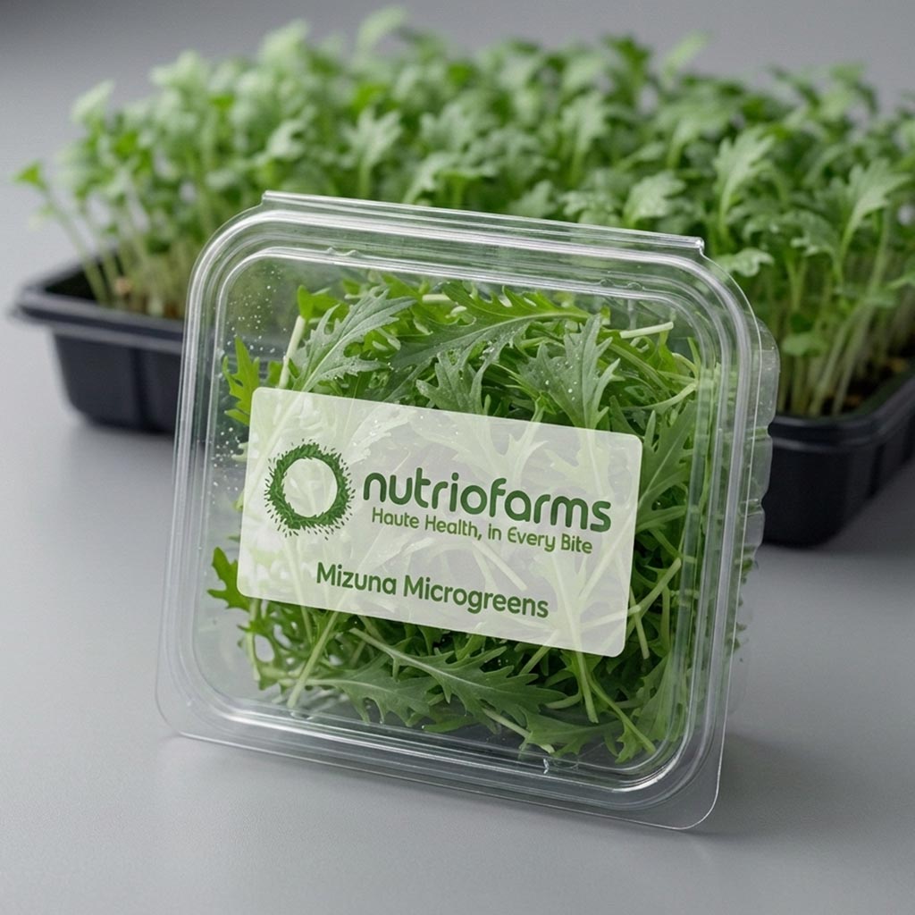 Mizuna Microgreens