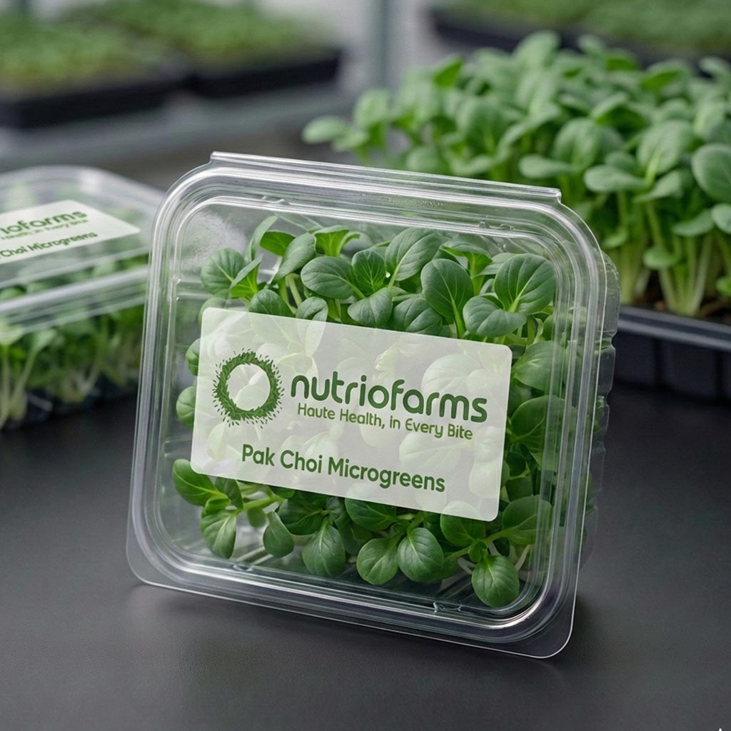 Pak Choi Microgreens