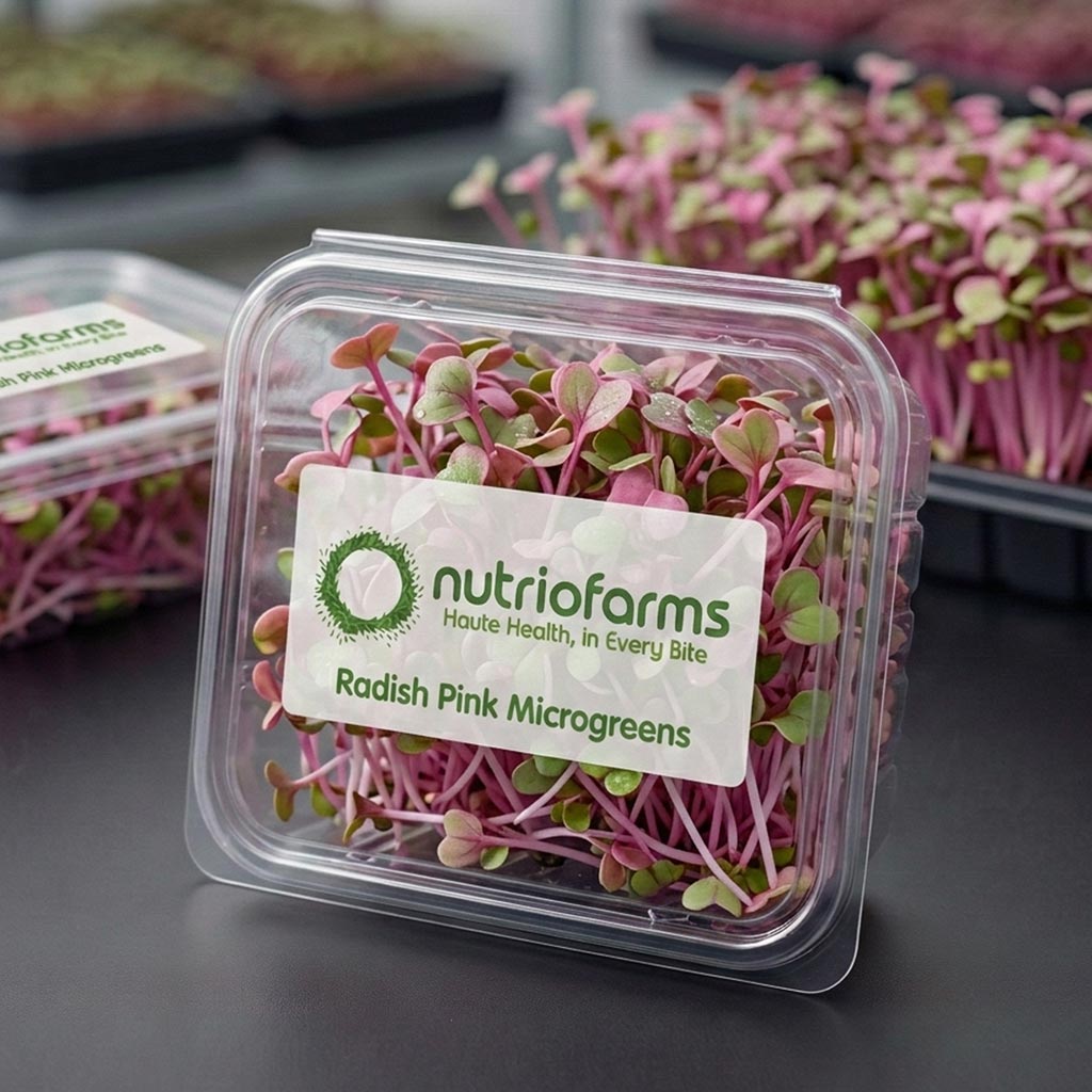 Radish Pink Microgreens