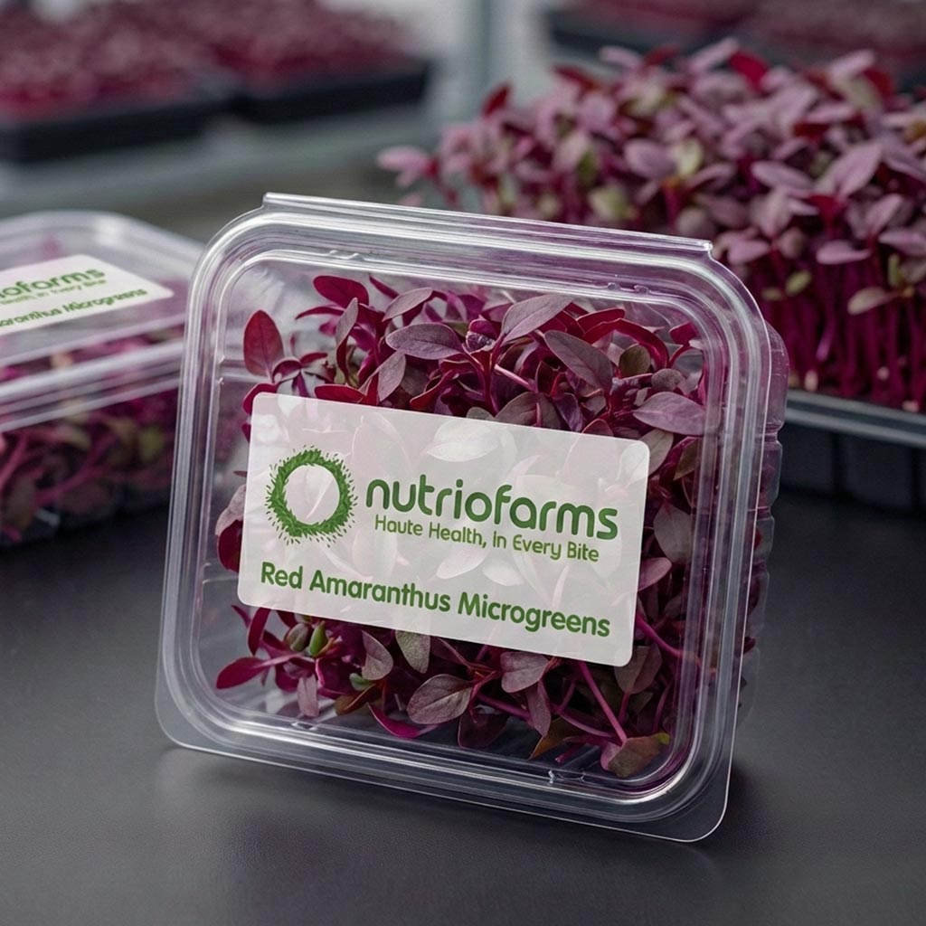 Red Amaranthus Microgreens