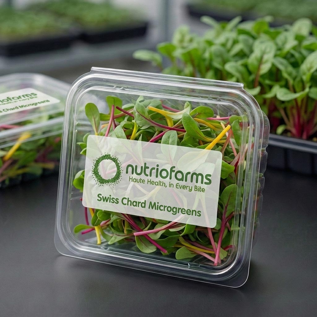 Swiss Chard Microgreens