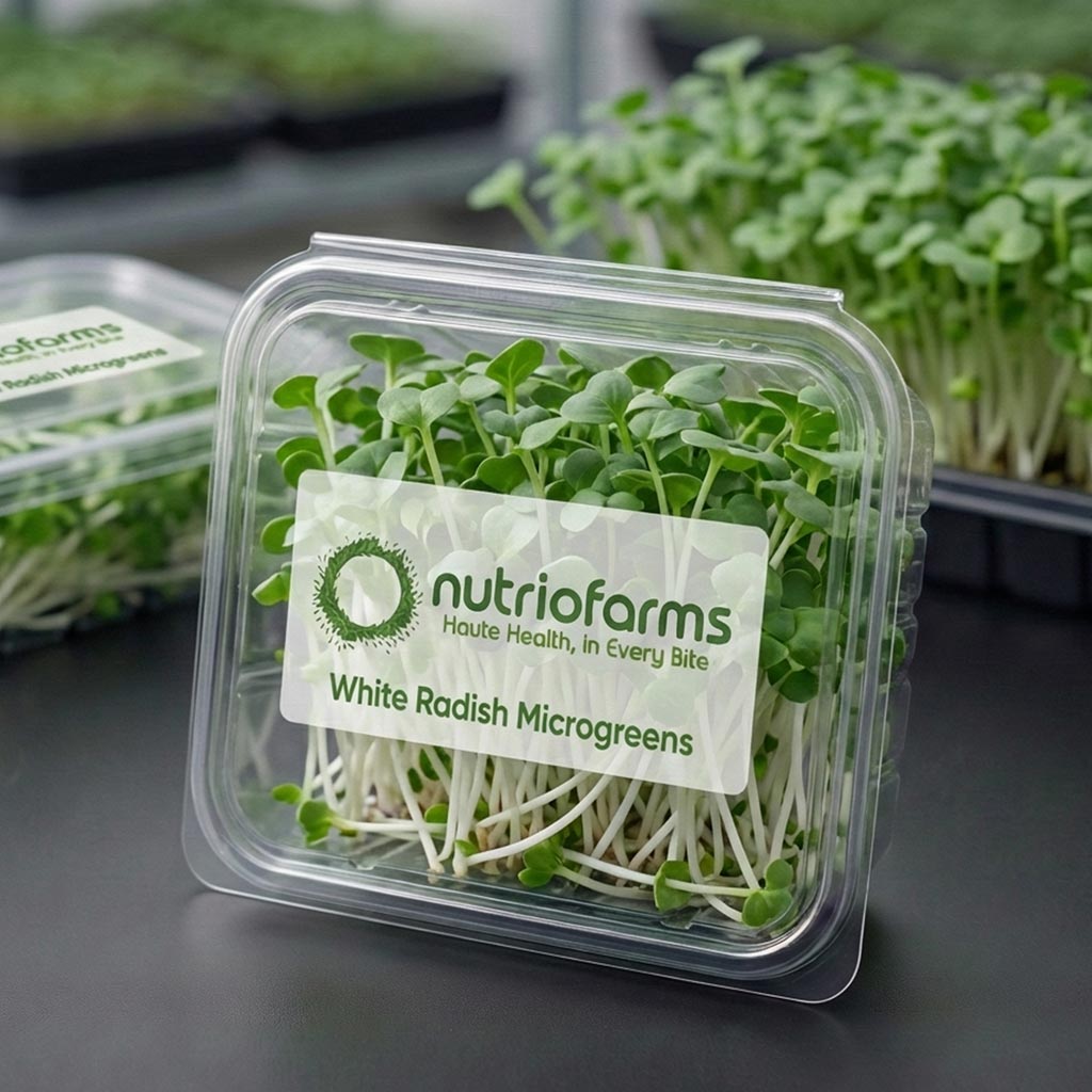 White Radish Microgreens
